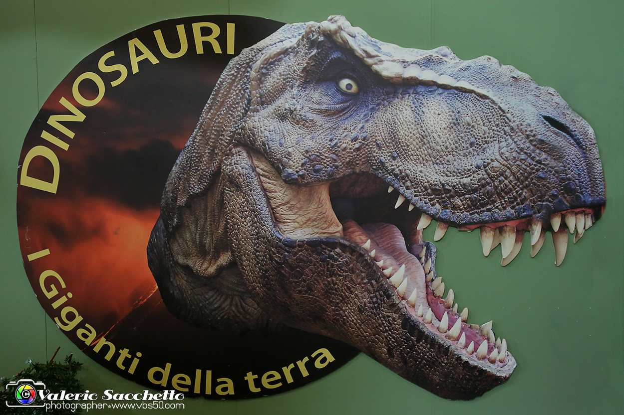 VBS_0873 - Dinosauri. Terra dei giganti.jpg